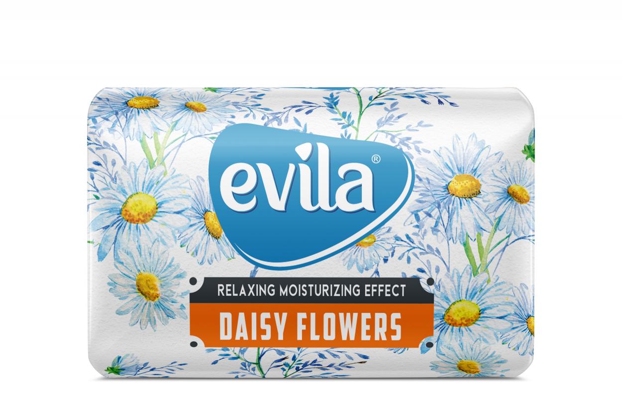 DAISY FLOWERS
